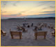 Kalmar Village Photo Gallery